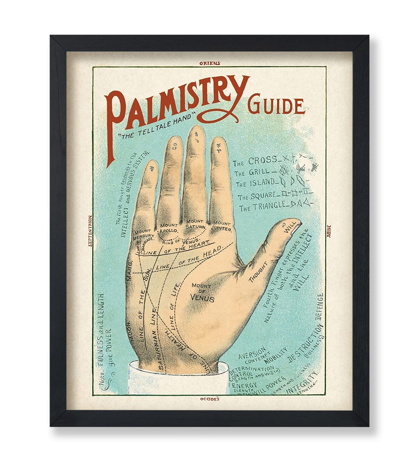 Palmistry Guide