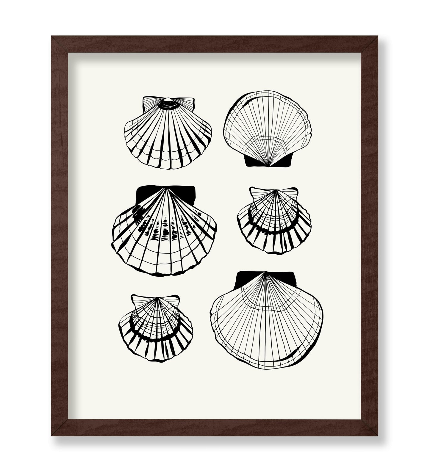Abstract Clam Shells