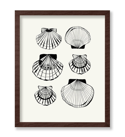 Abstract Clam Shells