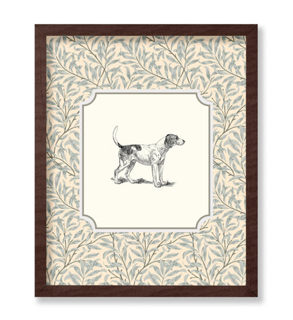 Foxhound Dog