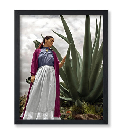 Frida Agave Plant
