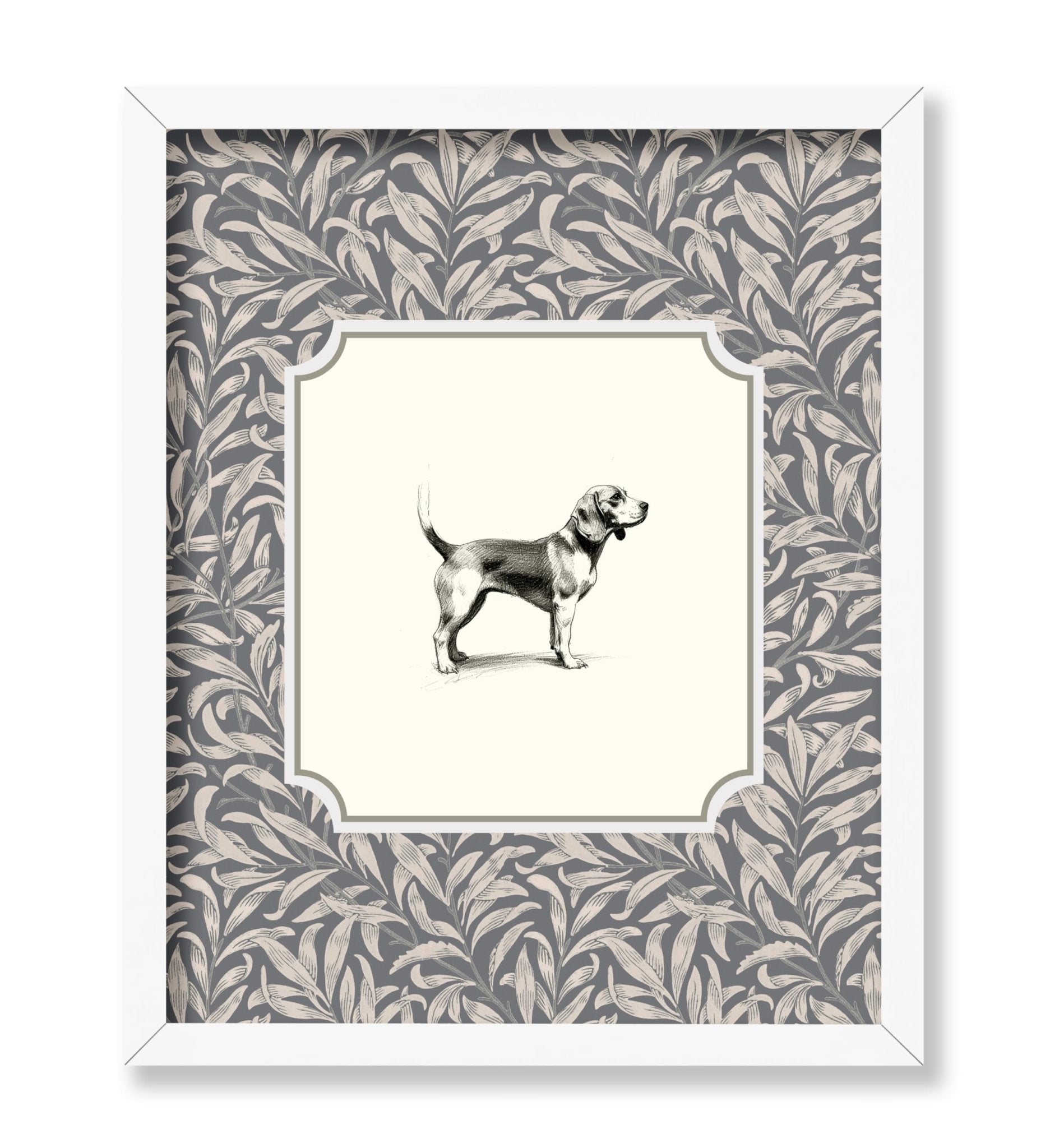 Beagle Dog