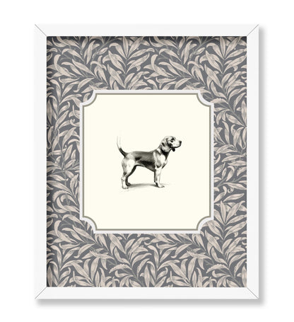 Beagle Dog