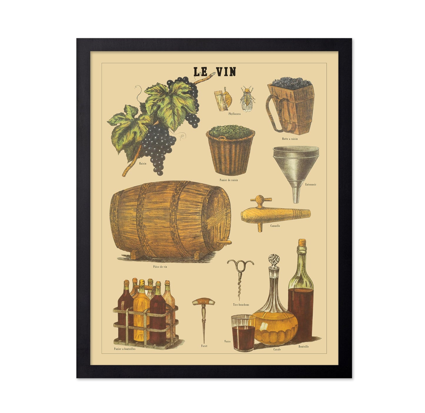 Le Vin - French Wine