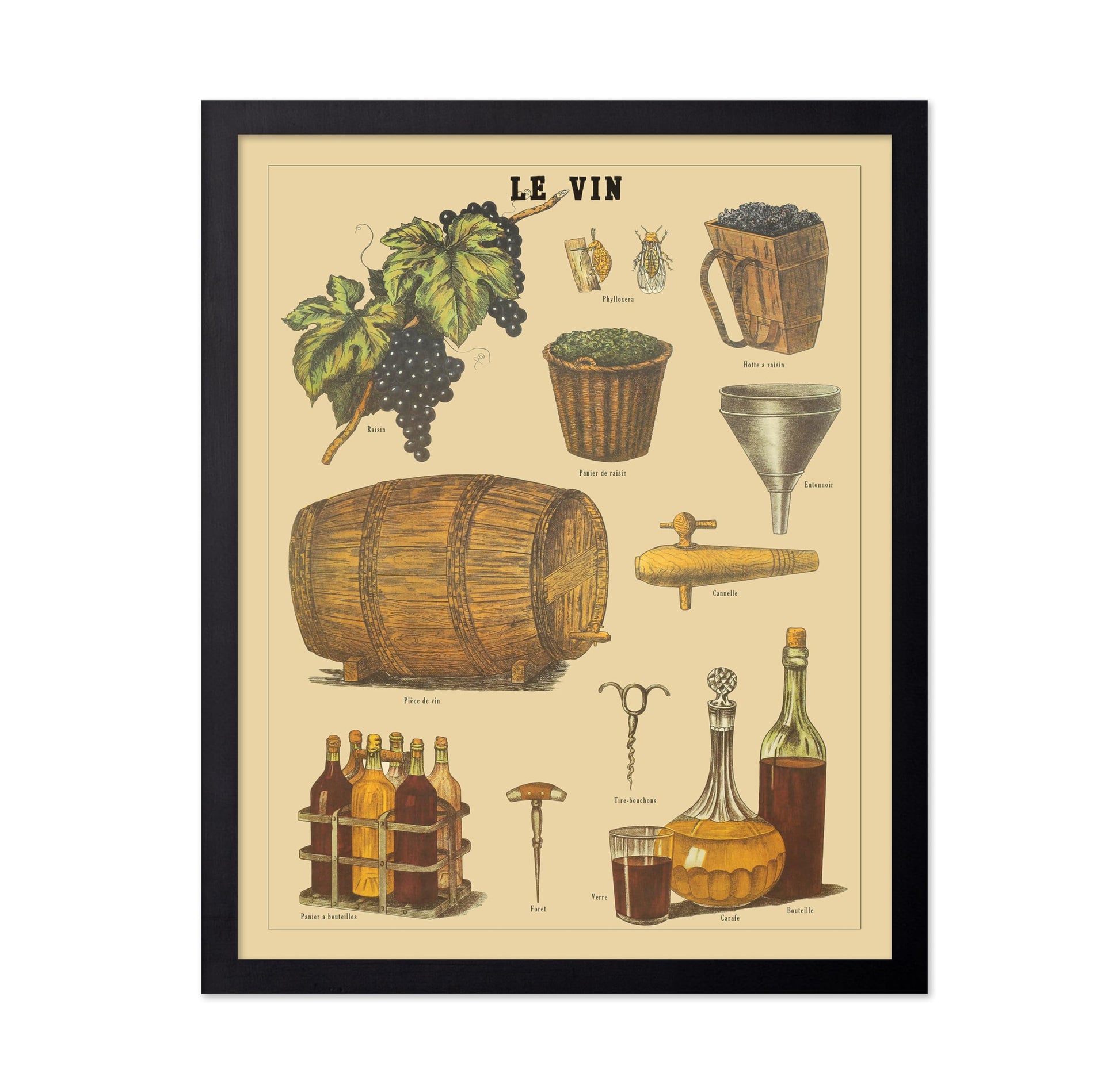 Le Vin - French Wine