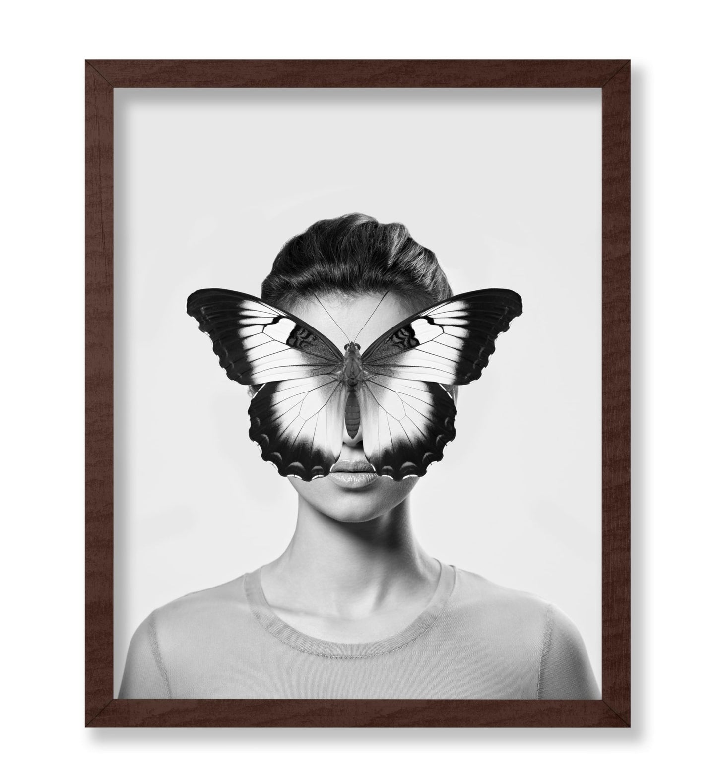 Butterfly Collage No2