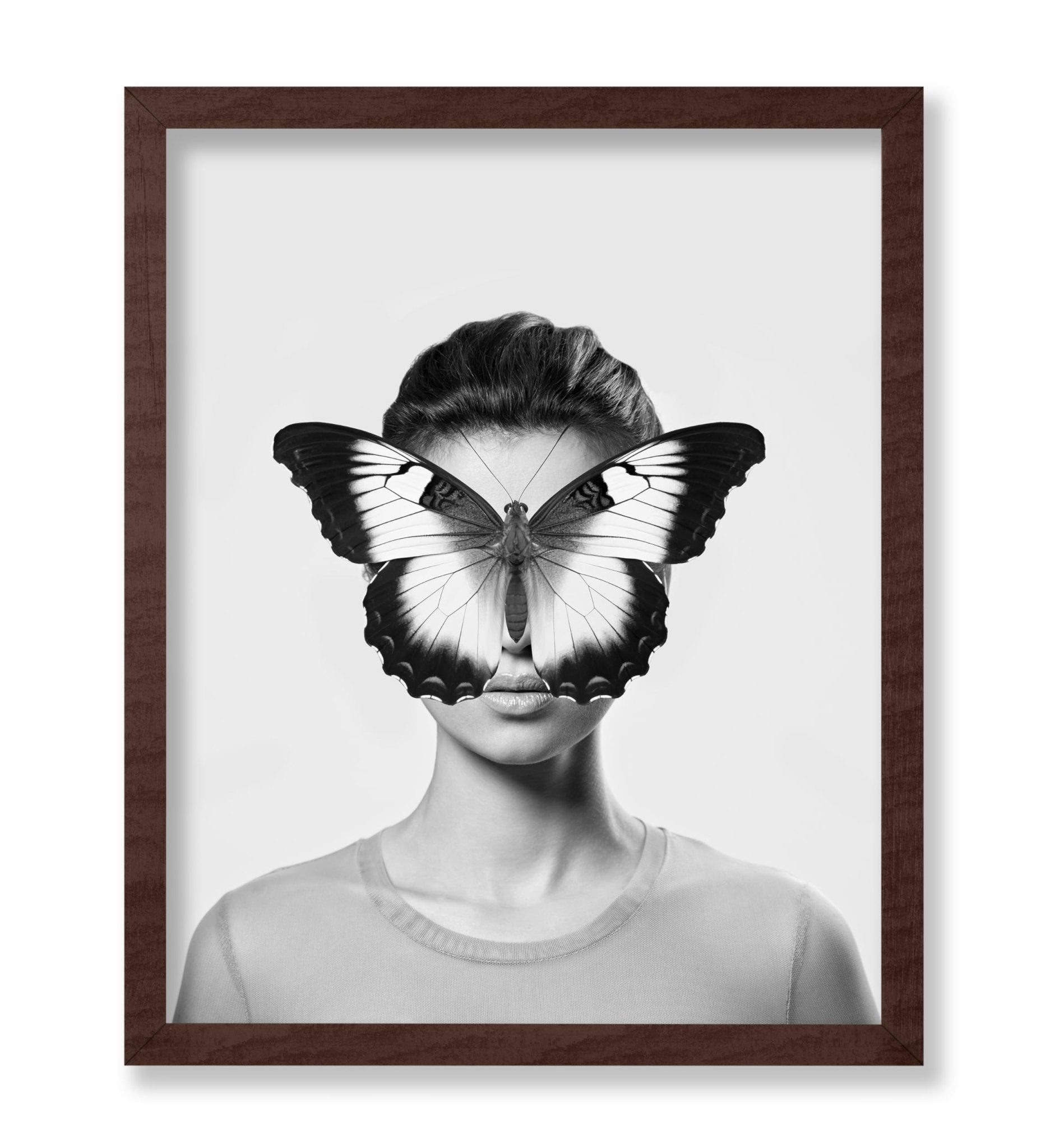 Butterfly Collage No2