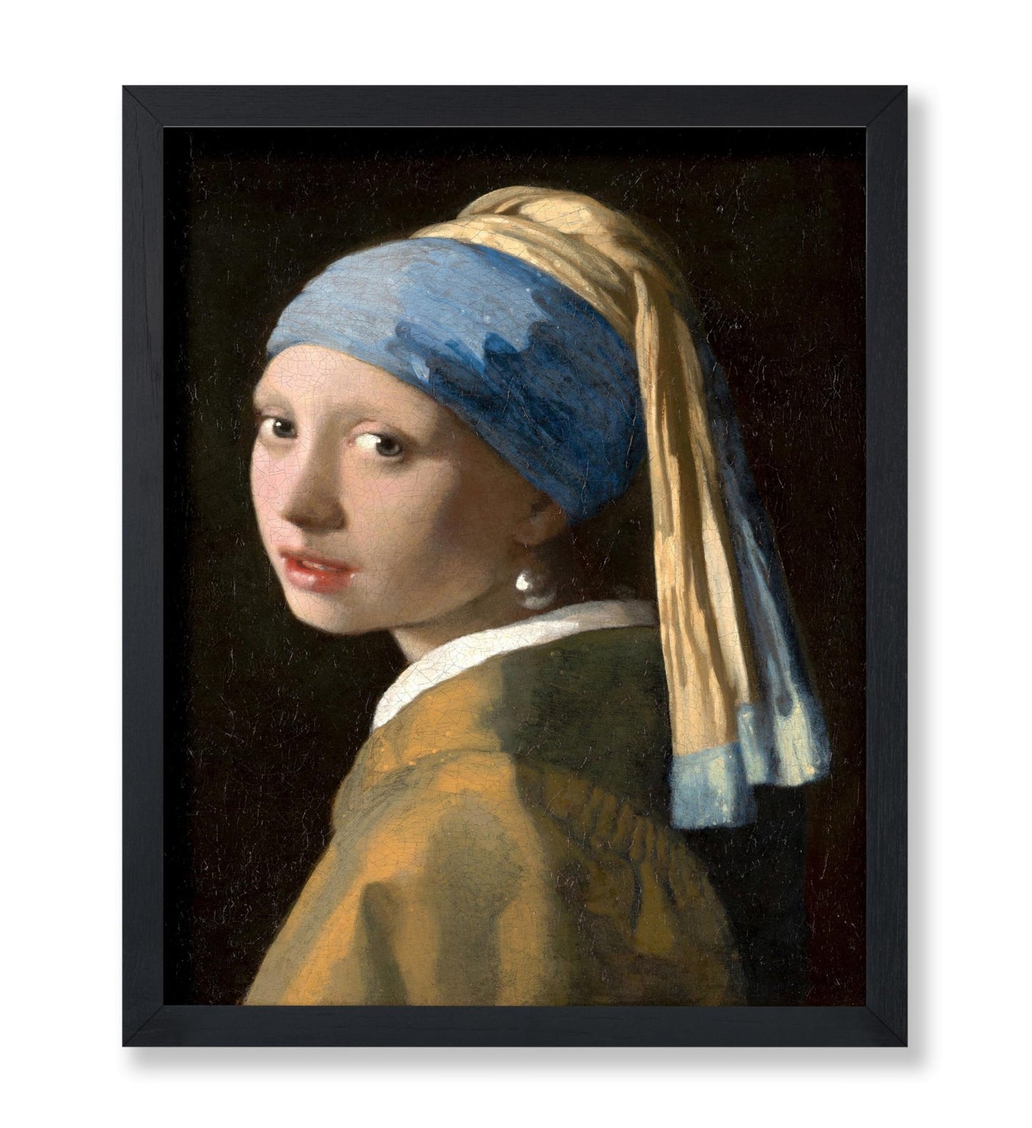 Girl with a Pearl Earring No1
