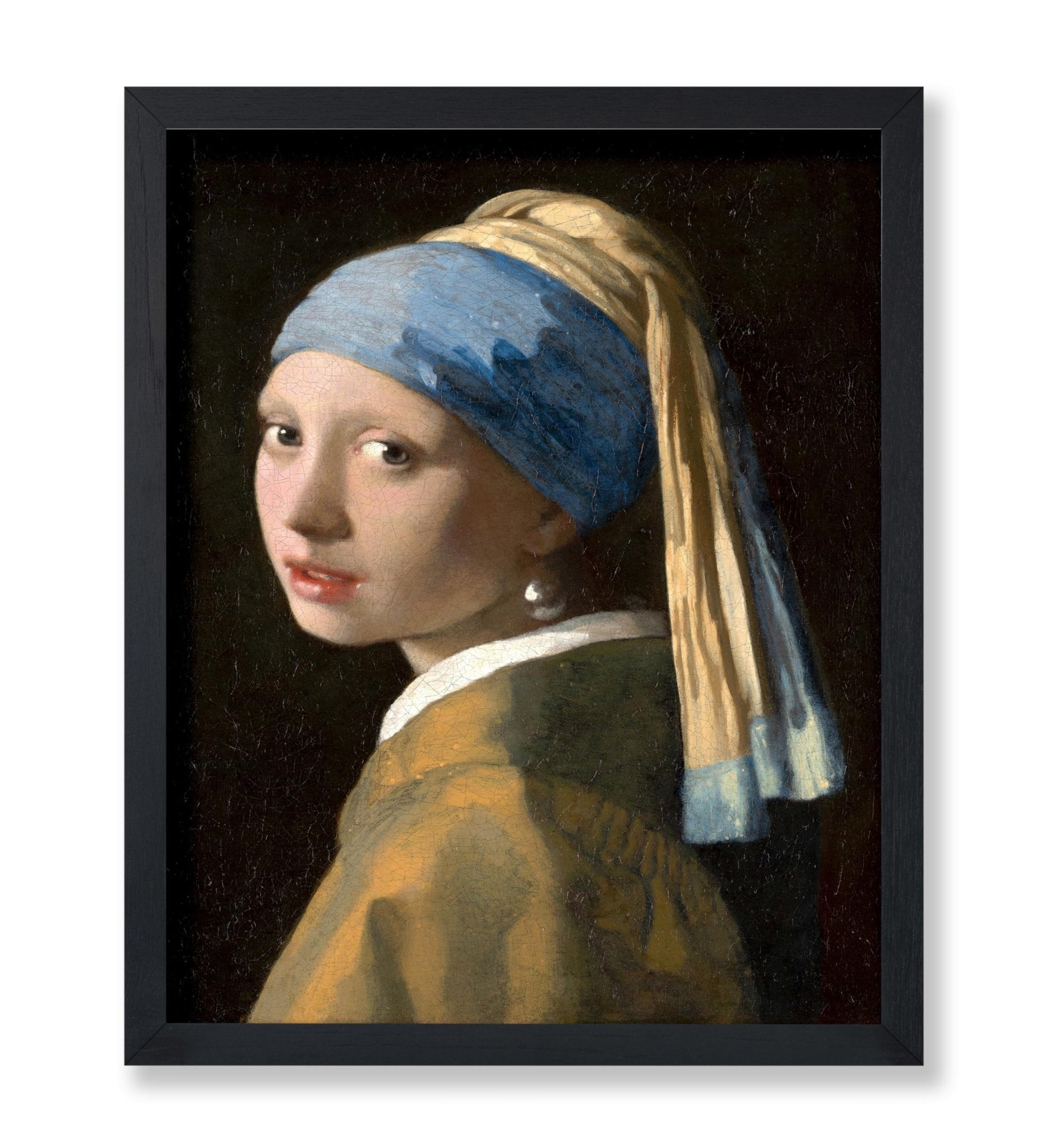 Girl with a Pearl Earring No1