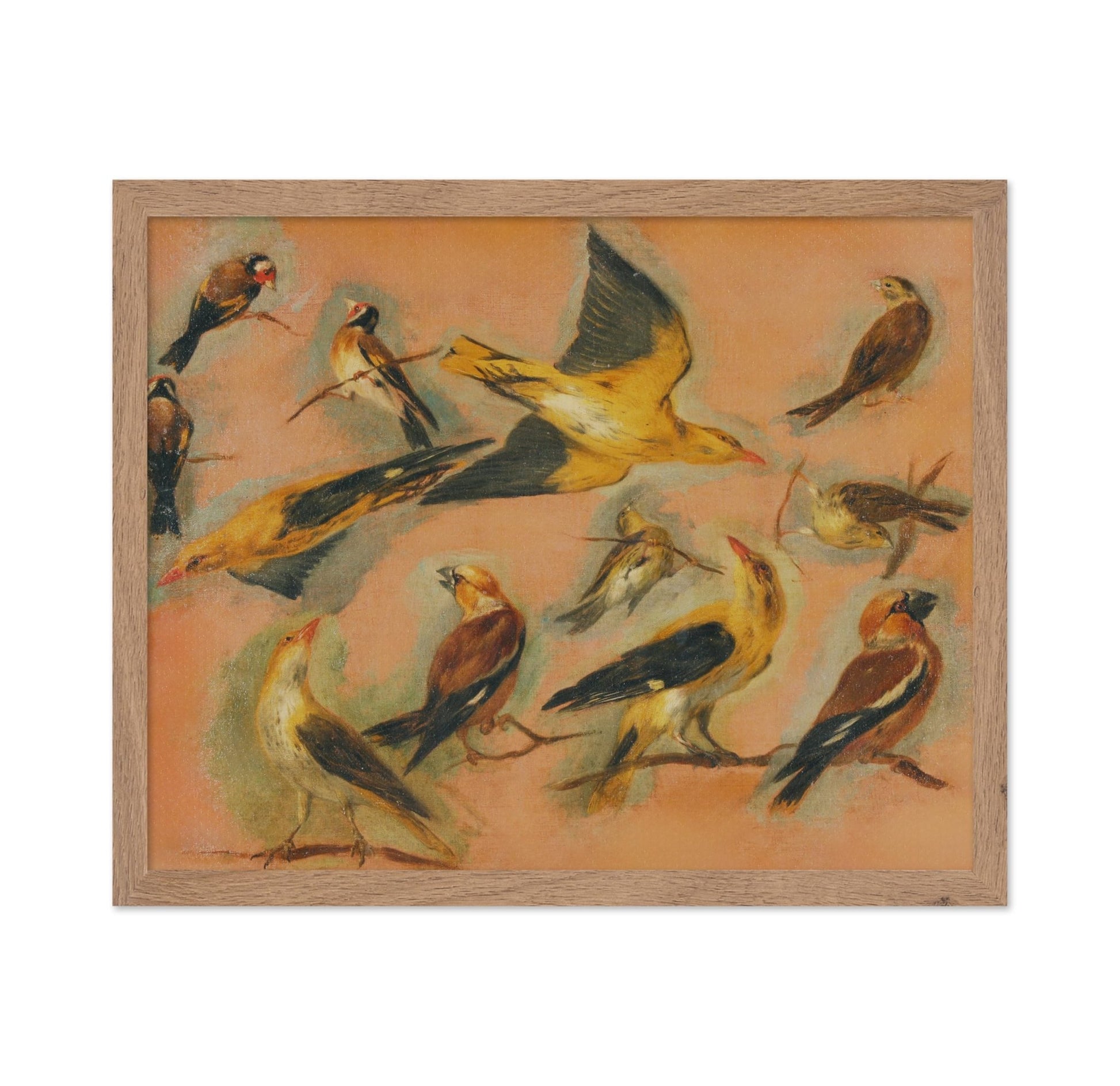 European Goldfinch