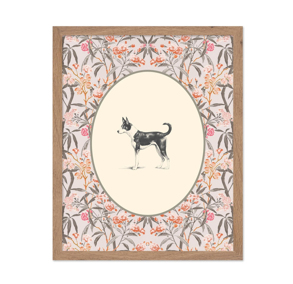 Basenji Portrait