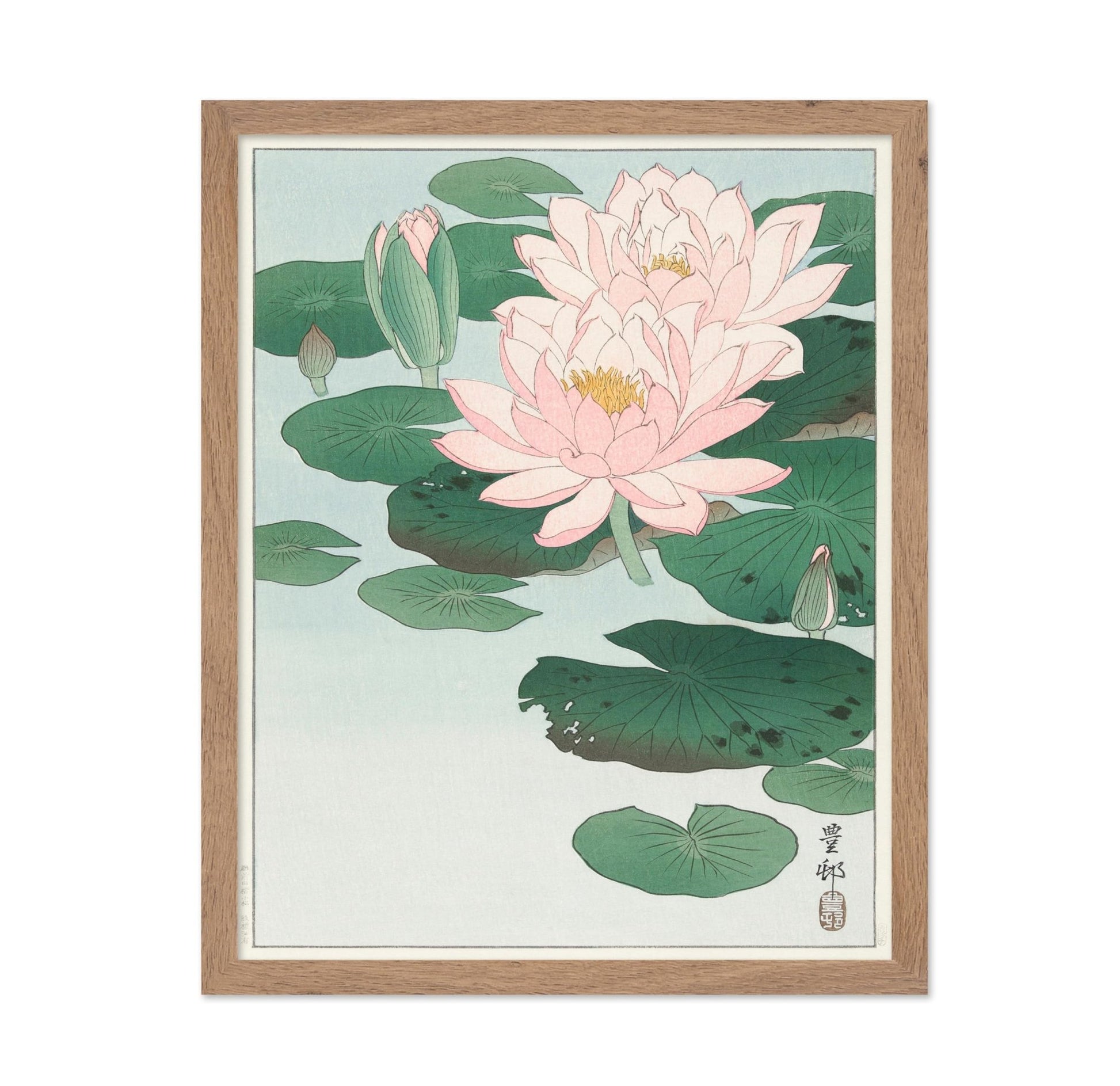 Ohara Koson - Water Lily No4