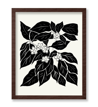 Abstract Plant Illustration