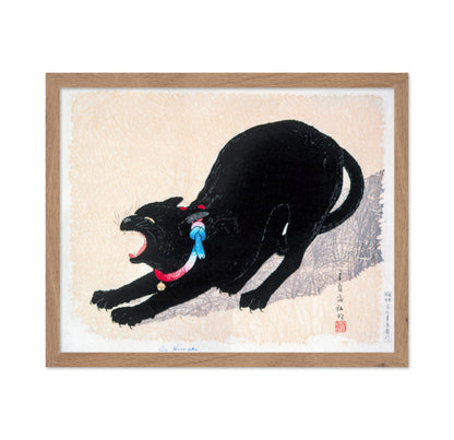 Black Cat Hissing