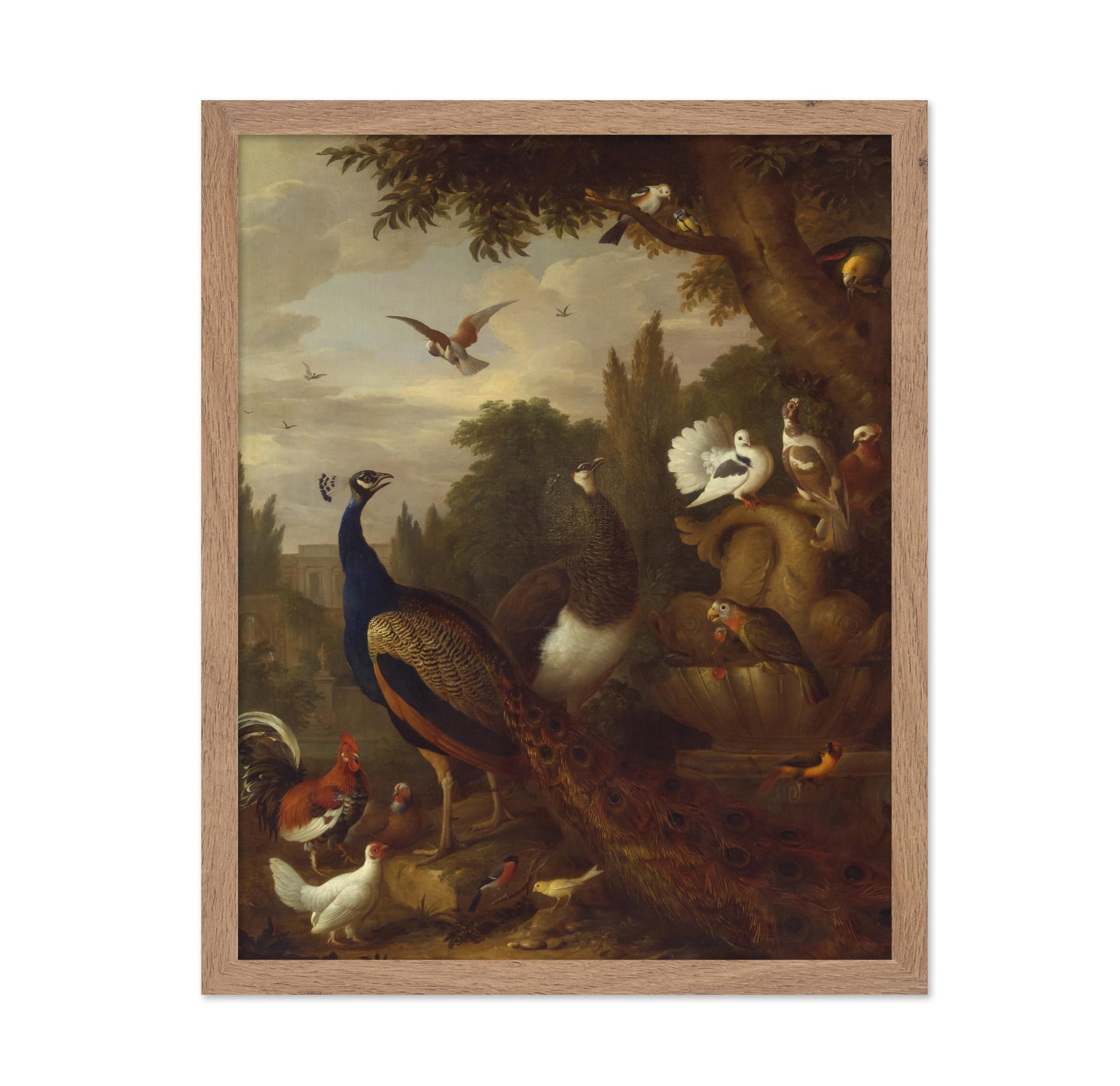 Birds in a Park