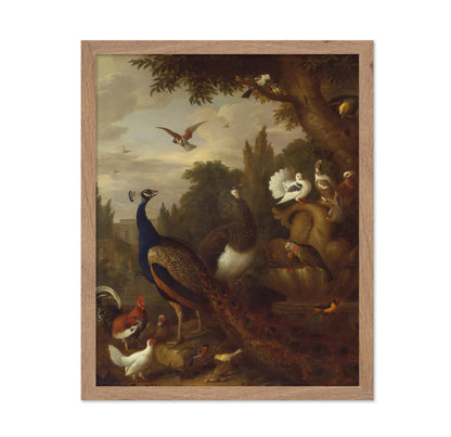 Birds in a Park