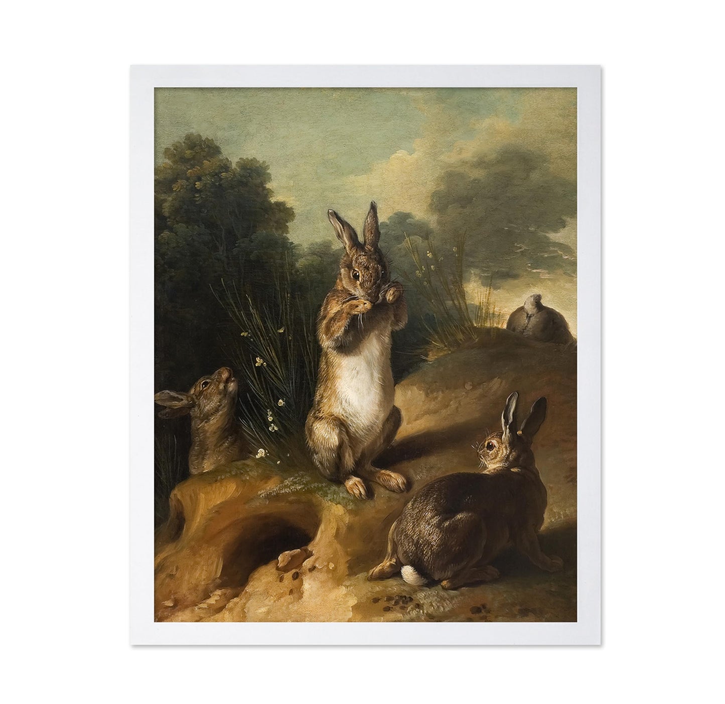 Rabbits in a Sunlit Meadow