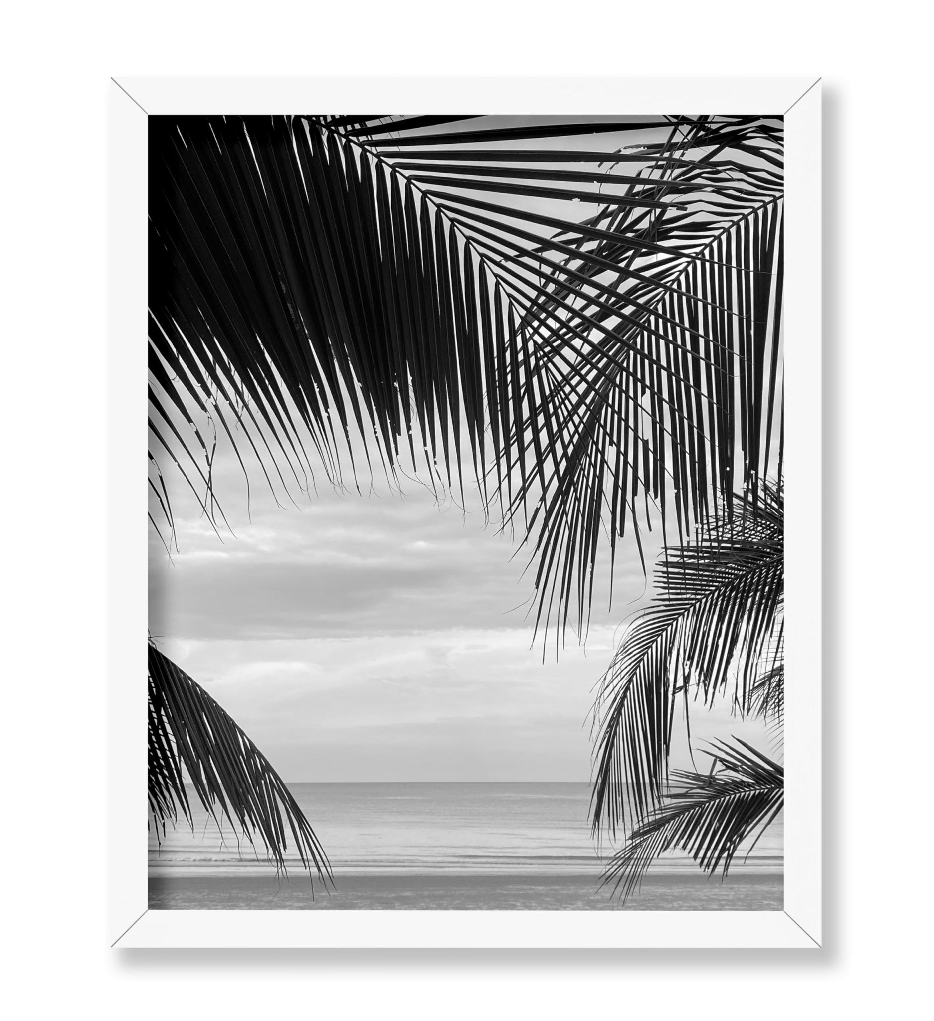 View Between Palm Leaves