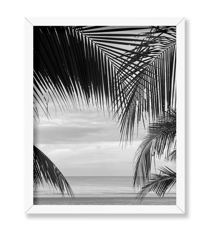 View Between Palm Leaves