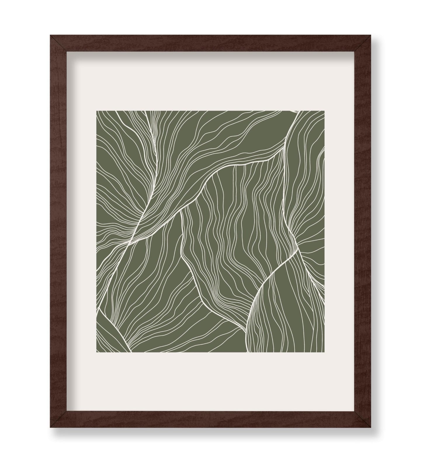 White Contour Lines