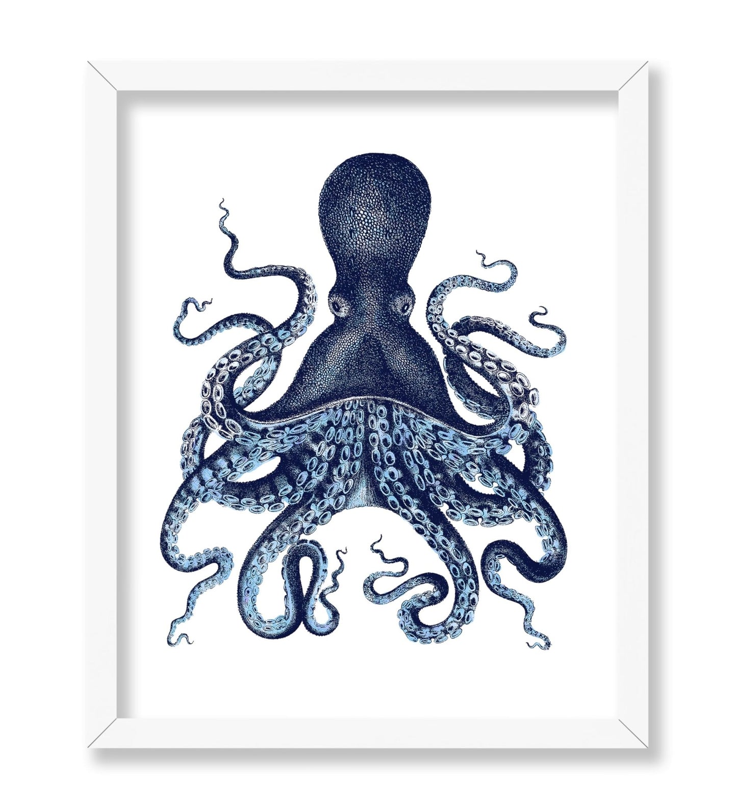 Aquatic Octopus