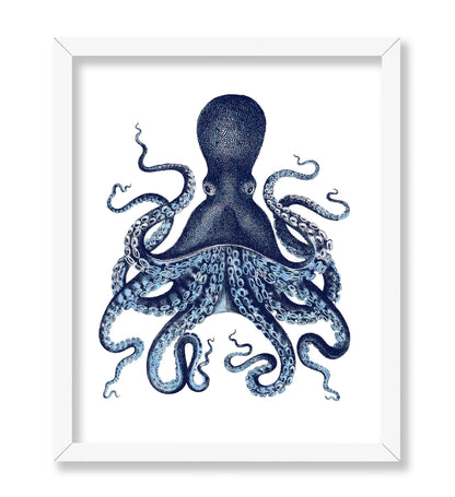 Aquatic Octopus