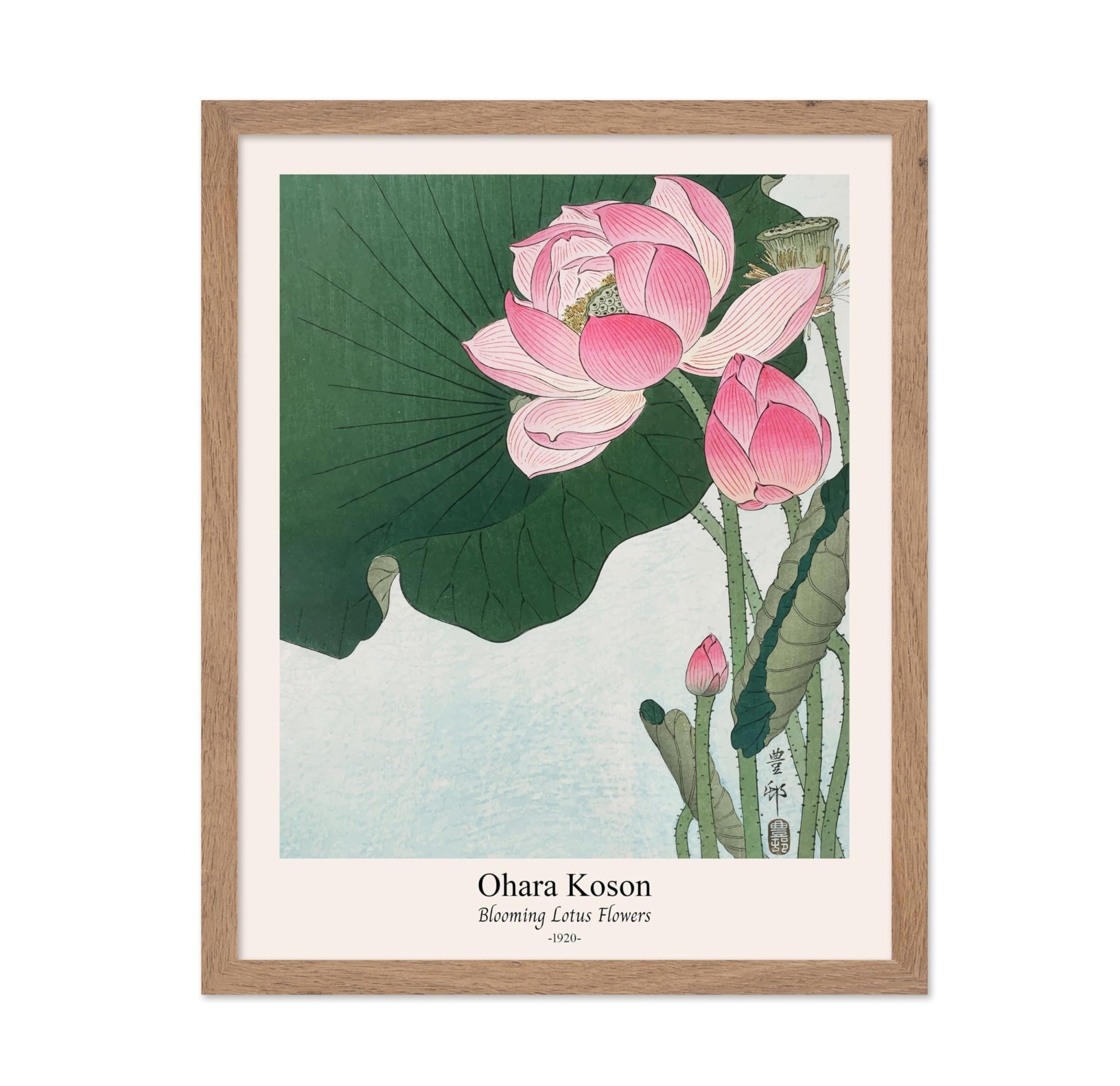 Ohara Koson - Blooming Lotus Flowers