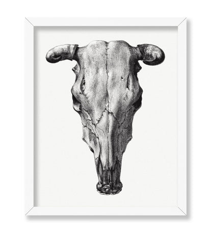 Cow Skull Portrait