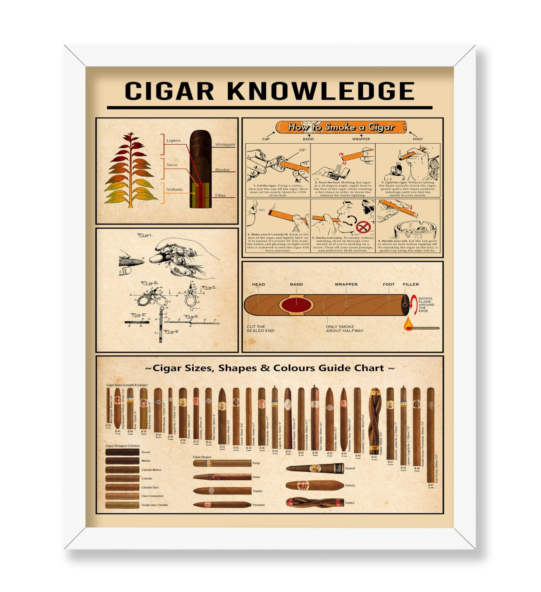 Cigar Knowledge