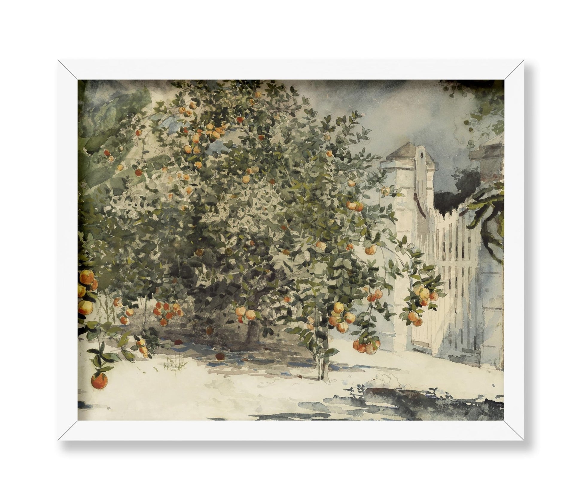Winslow Homer - Orange Trees and Gate