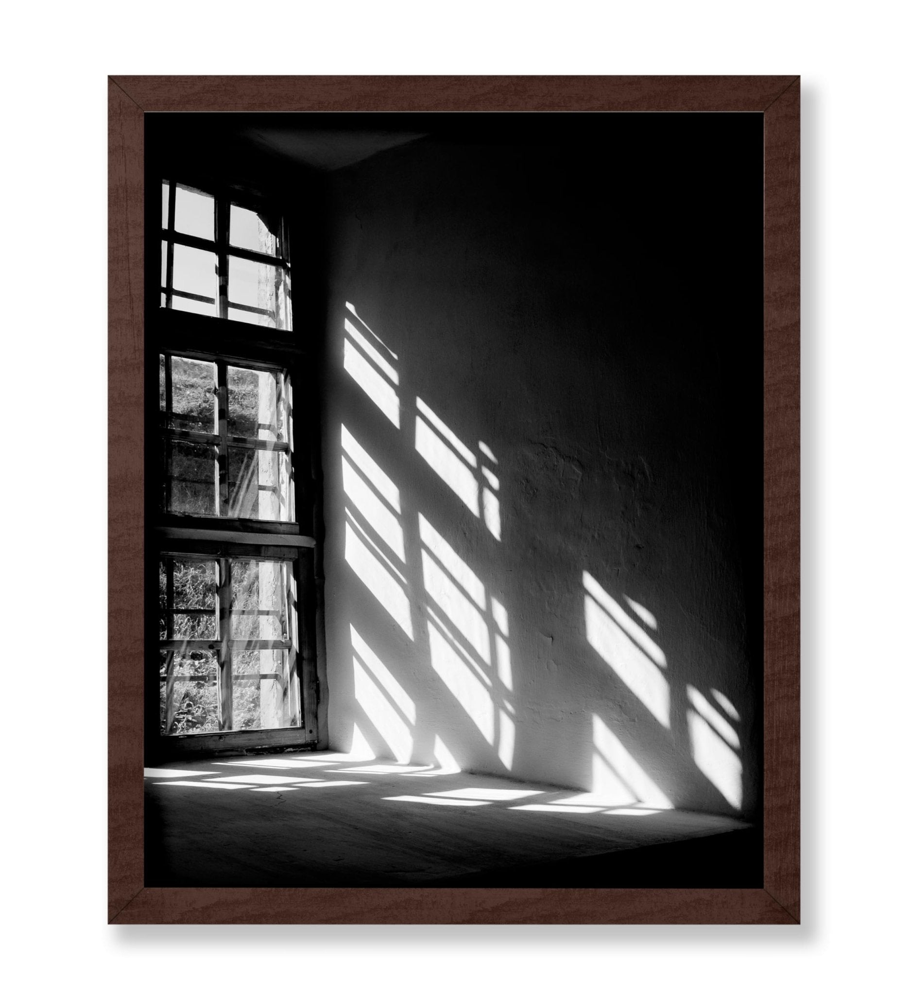 Let The Light In