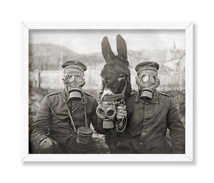 Donkey And Two Soldiers