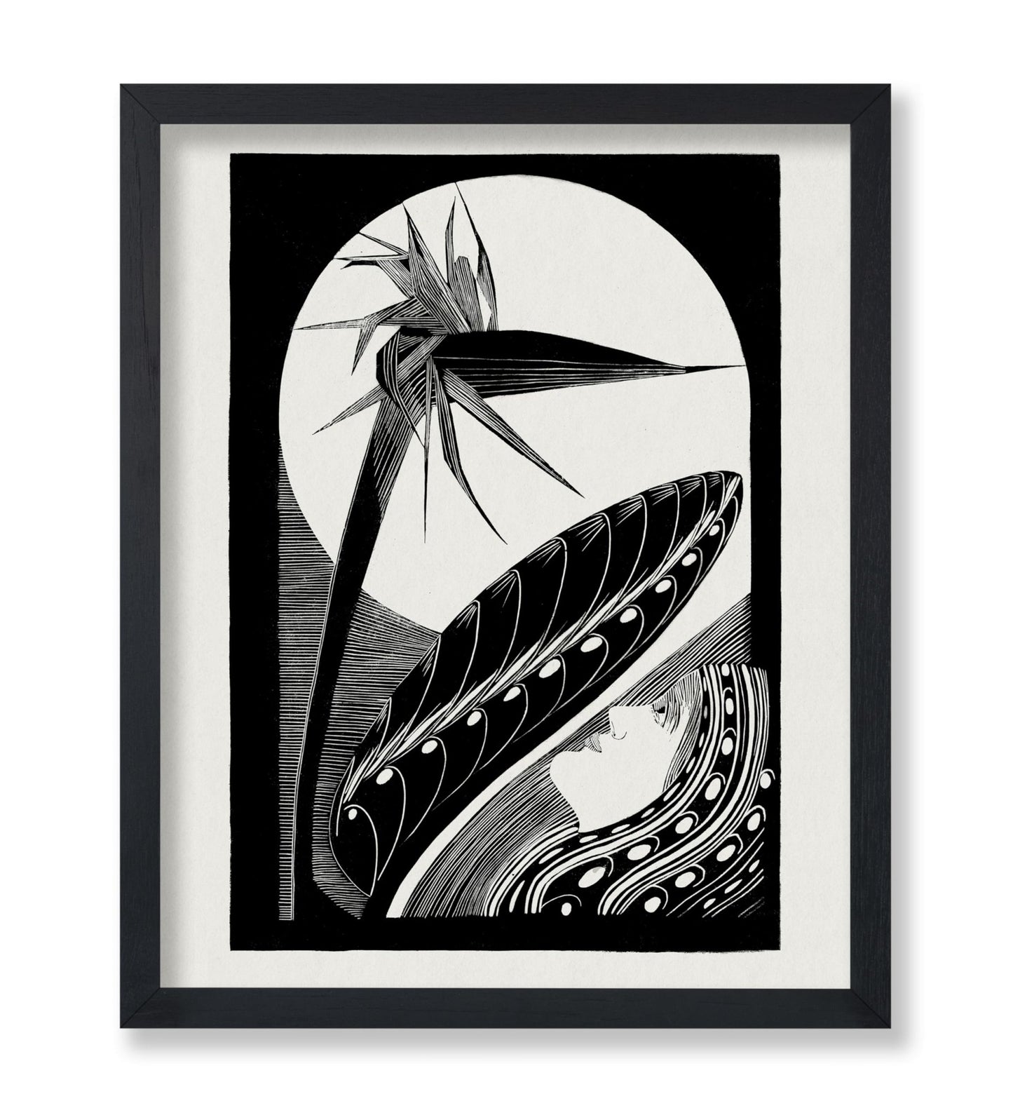 Strelitzia Overblown