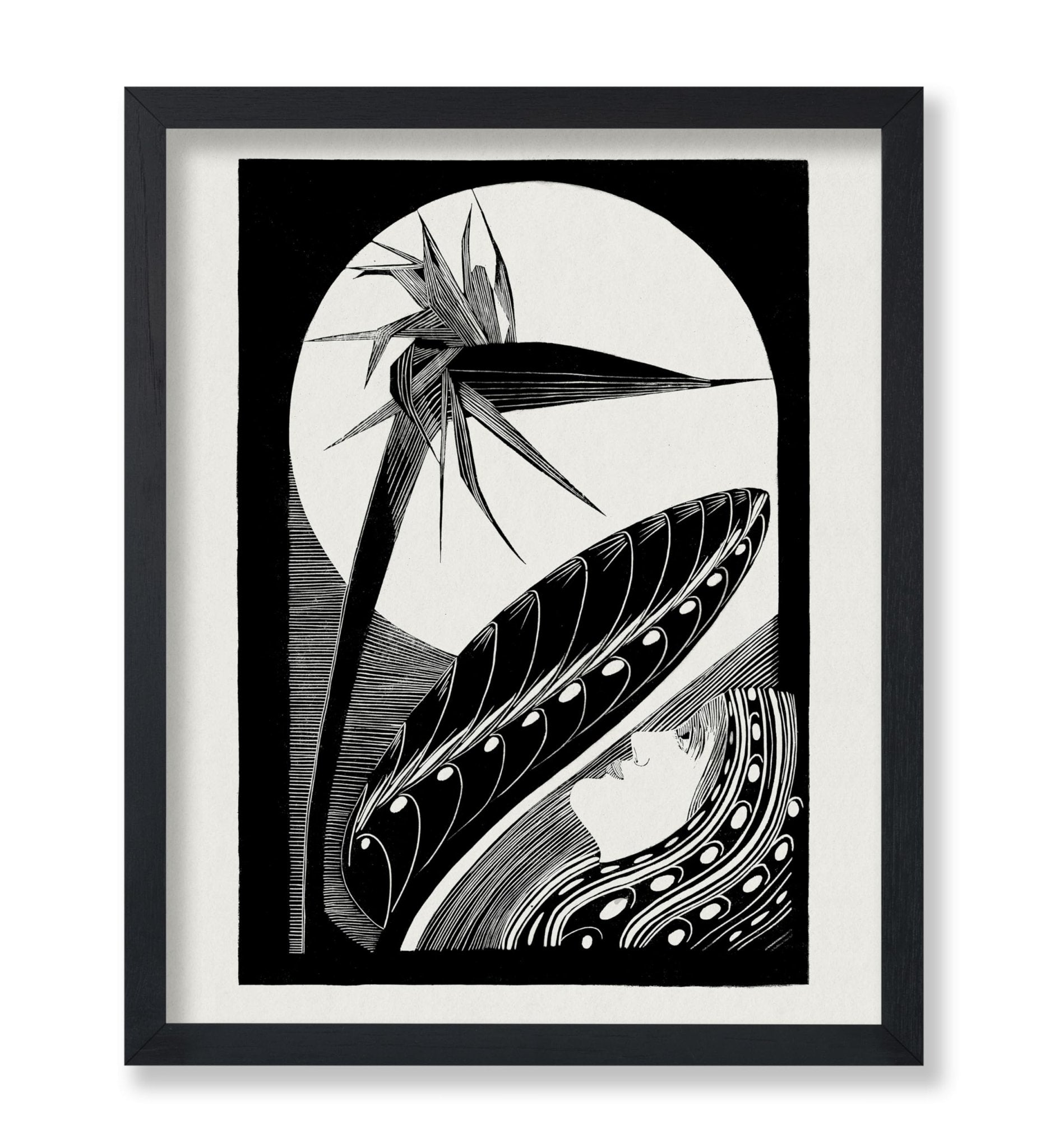 Strelitzia Overblown