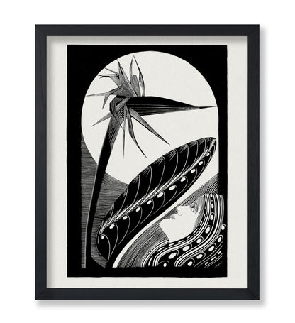 Strelitzia Overblown