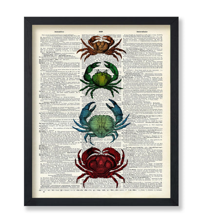 Crab Family