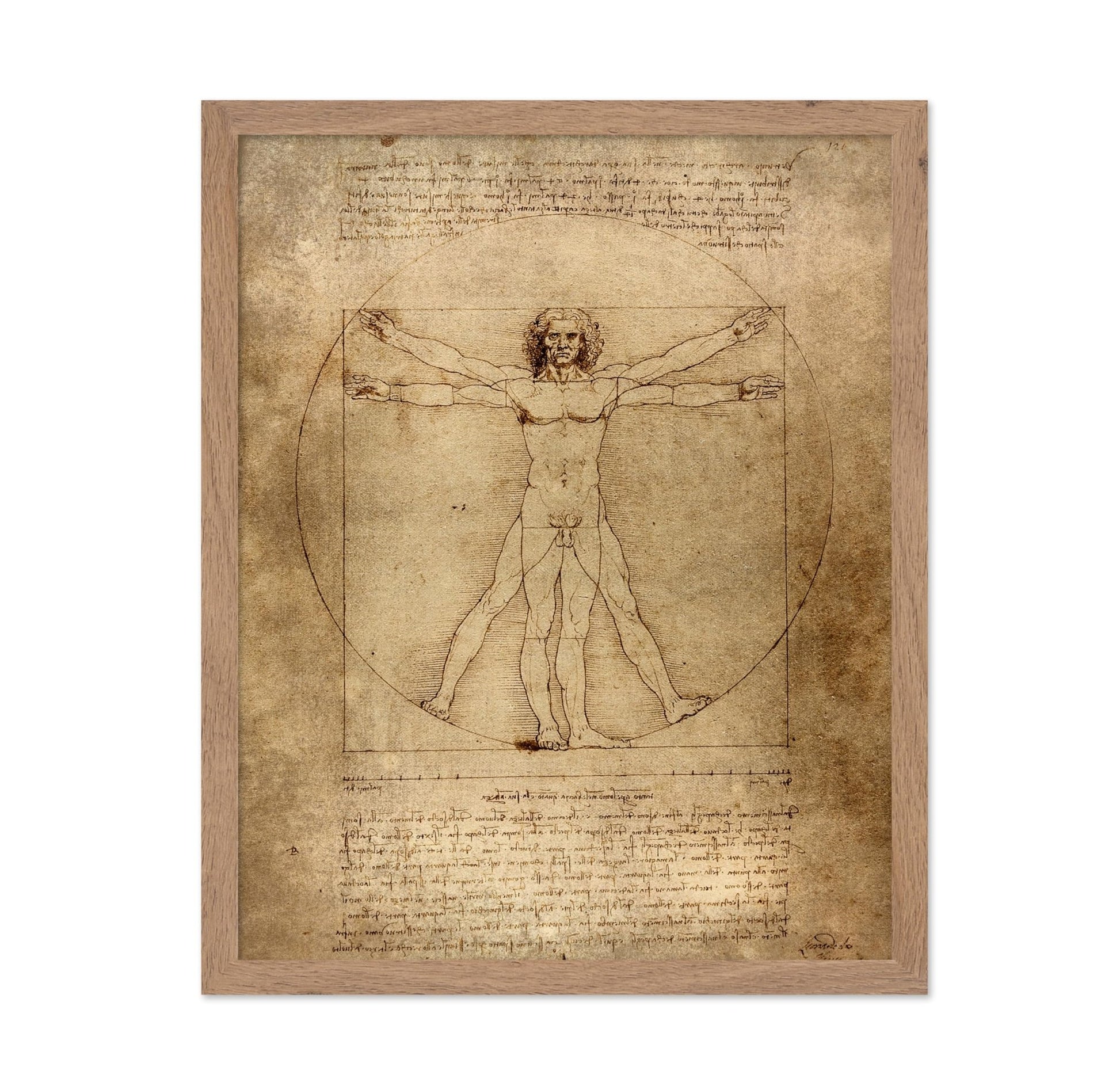 Leonardo Da Vinci - Vitruvian Man