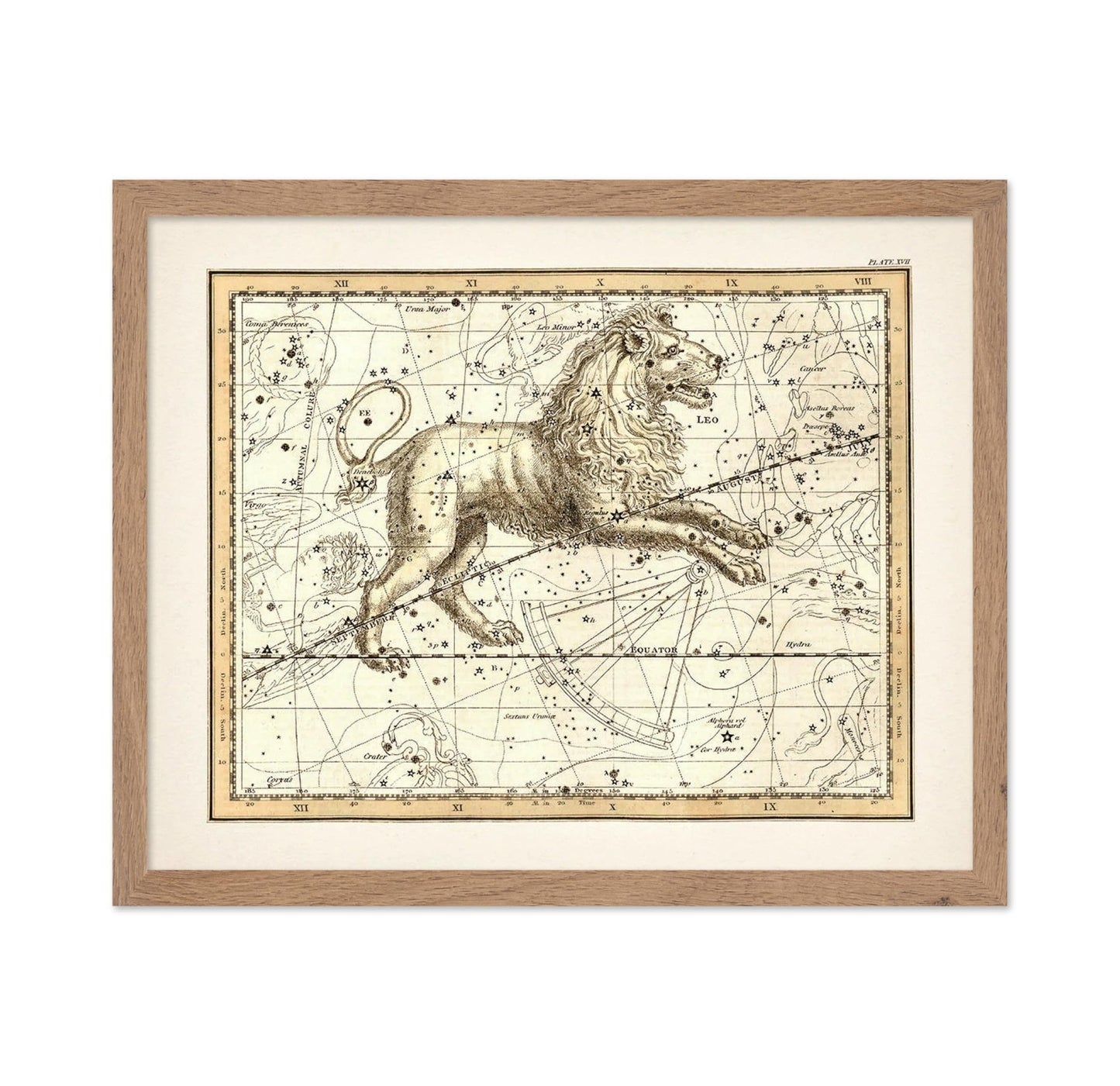 The Lion Zodiac Sign