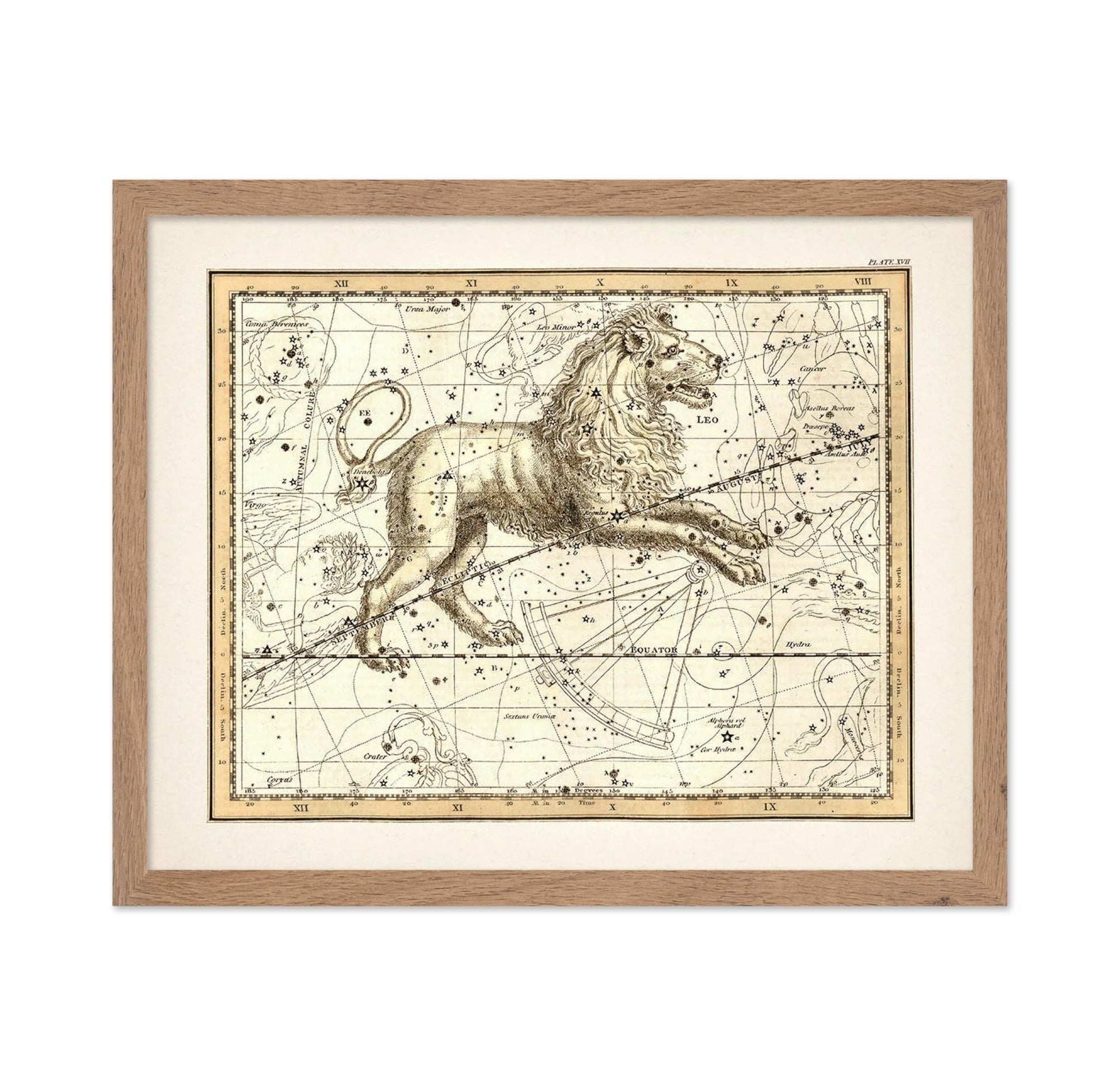 The Lion Zodiac Sign
