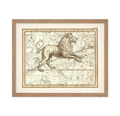 The Lion Zodiac Sign