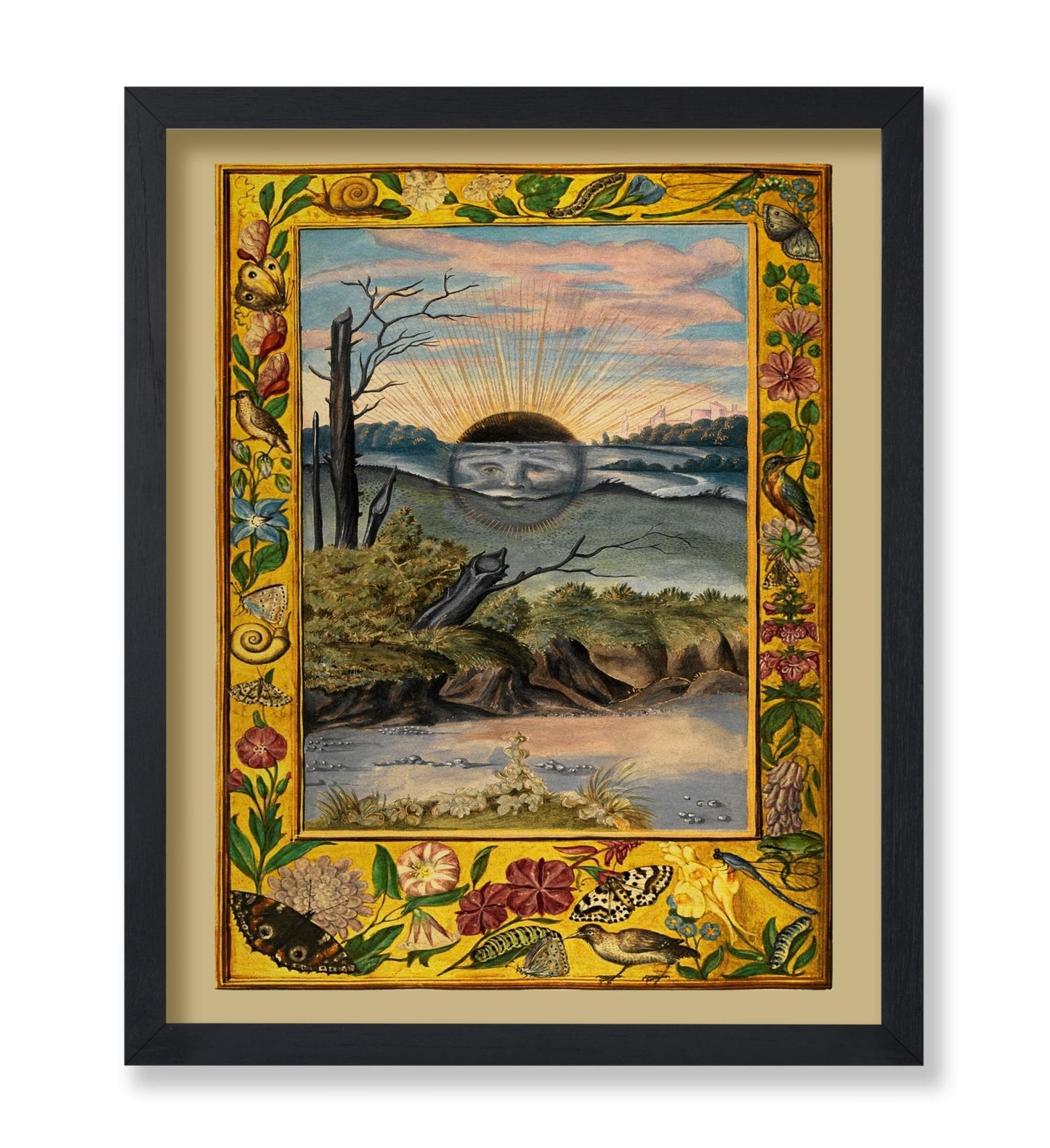 Splendor Solis