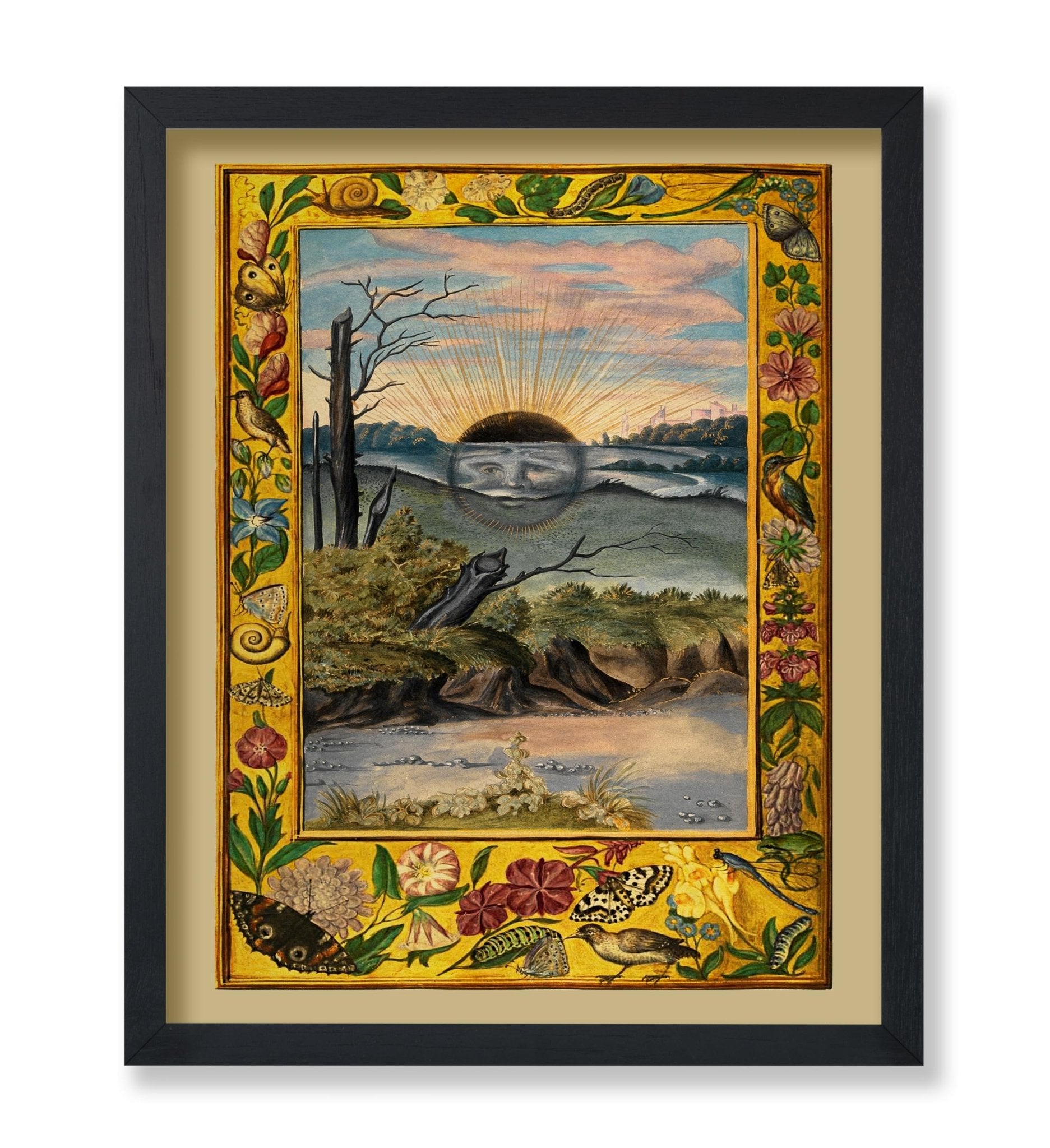 Splendor Solis