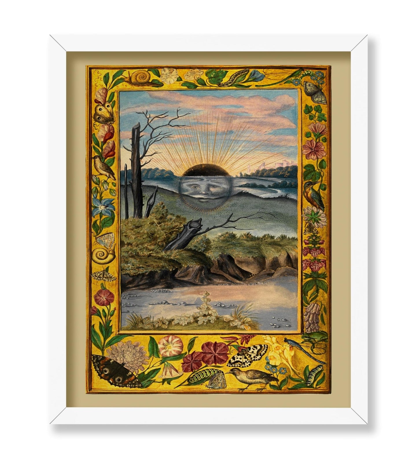Splendor Solis