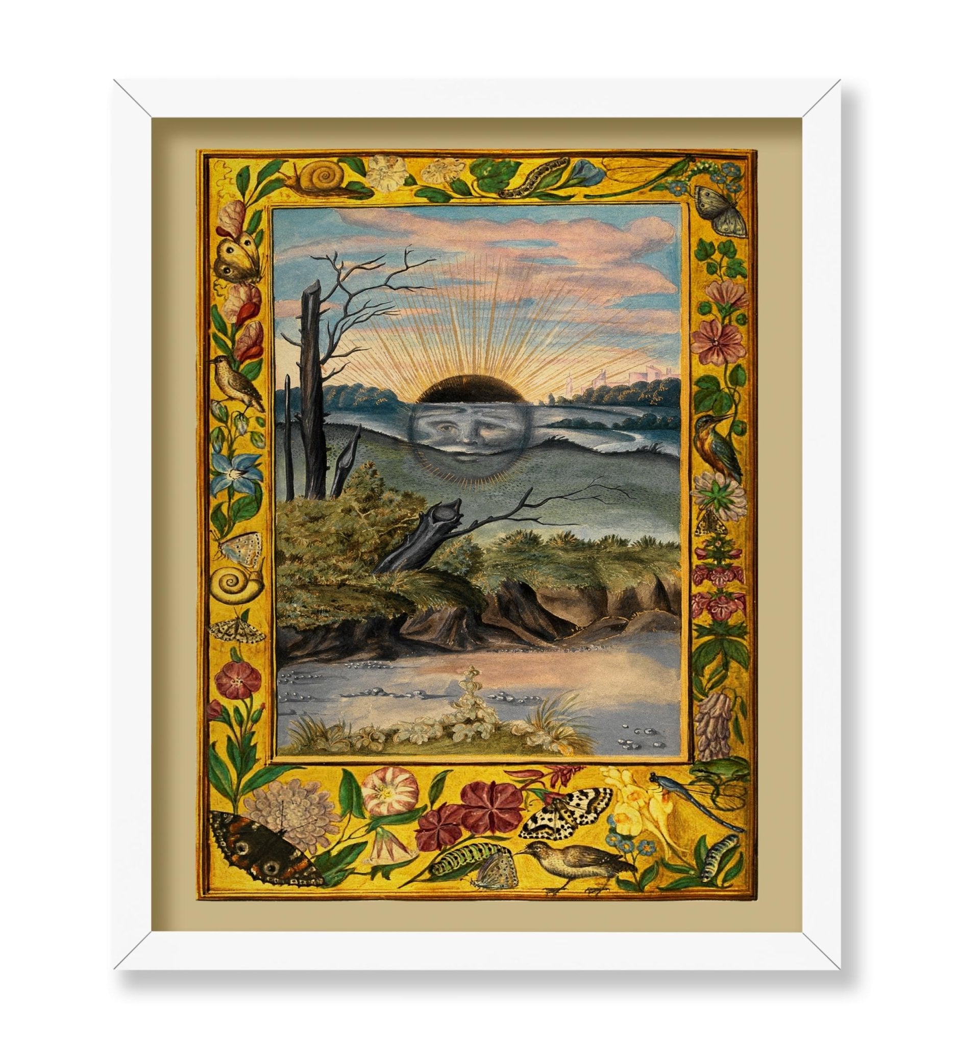 Splendor Solis