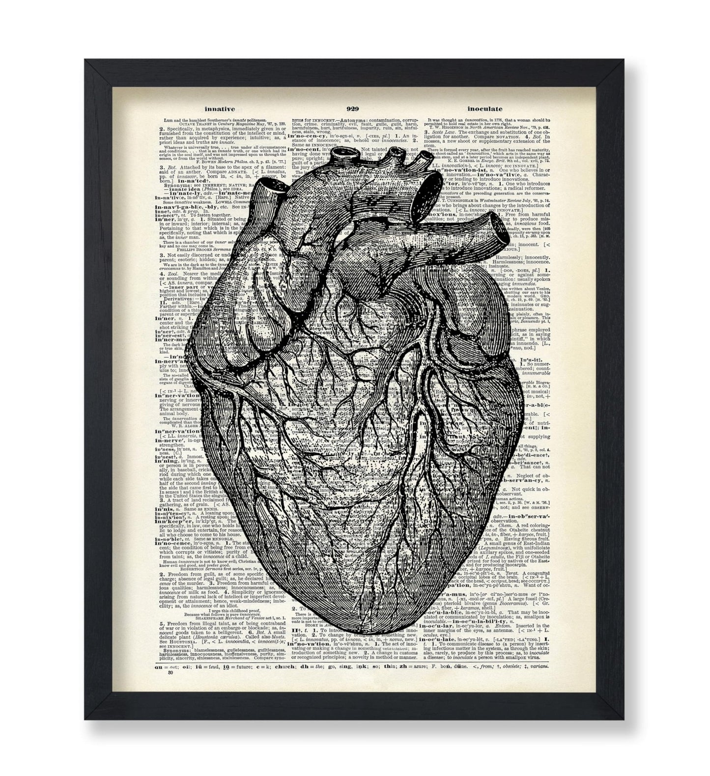 Anatomical Heart