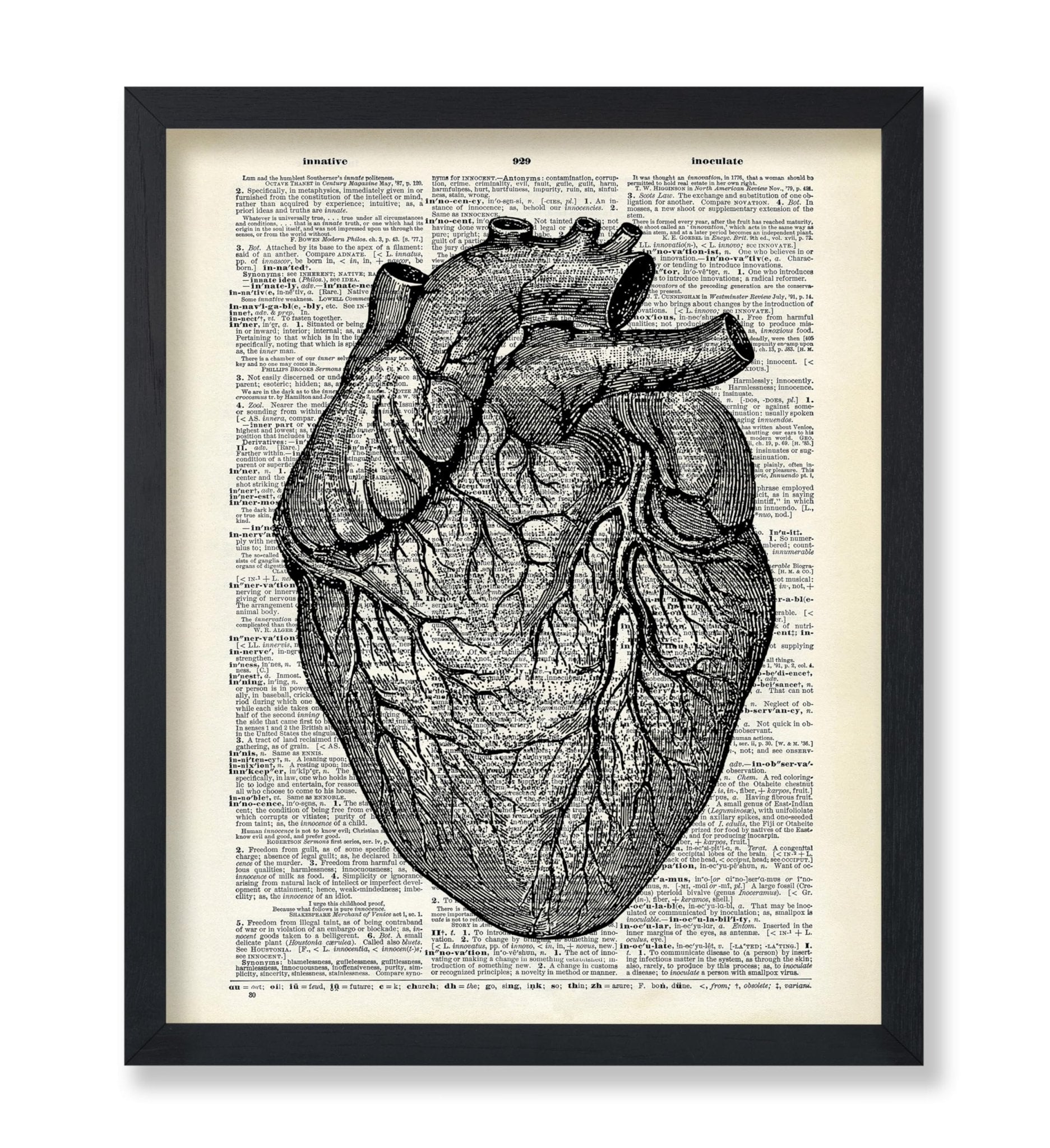 Anatomical Heart