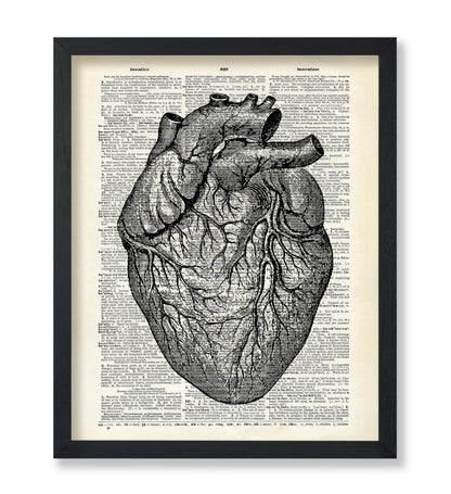 Anatomical Heart