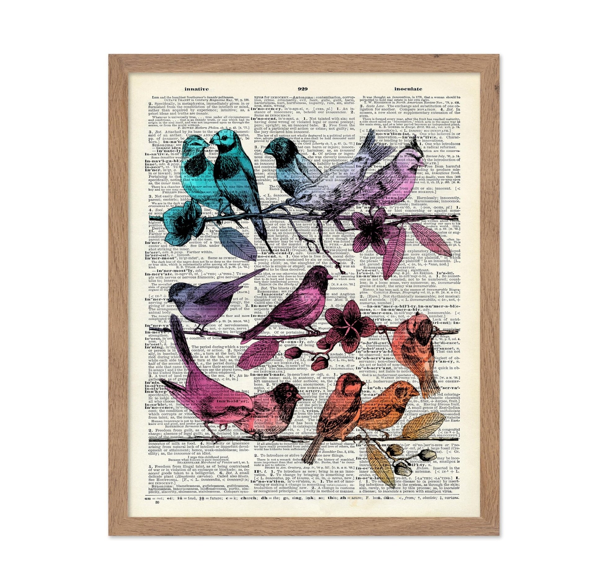 Hummingbirds on Branches