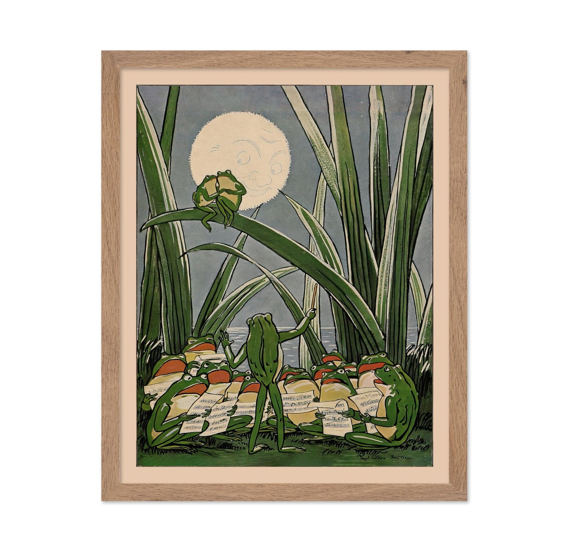 Frog Under The Moon
