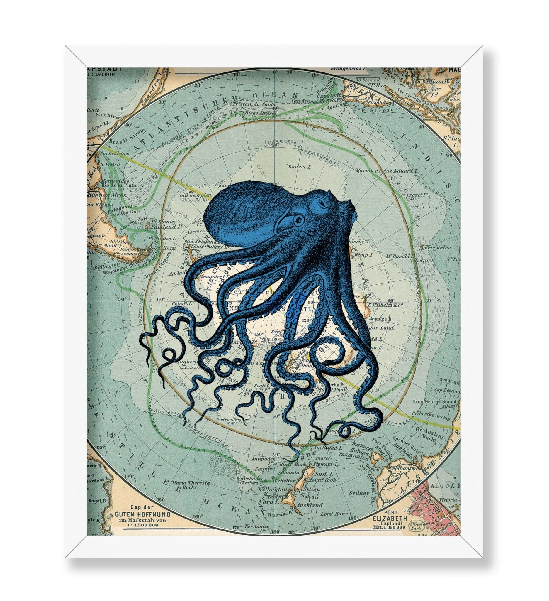 Antarctica Map and Blue Octopus